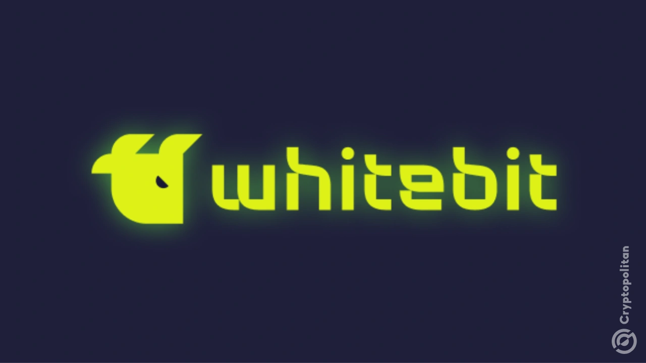 화이트비트(WhiteBIT) 거래소가 조지아에서 암호화폐 파생상품 거래 허가를 받았습니다.