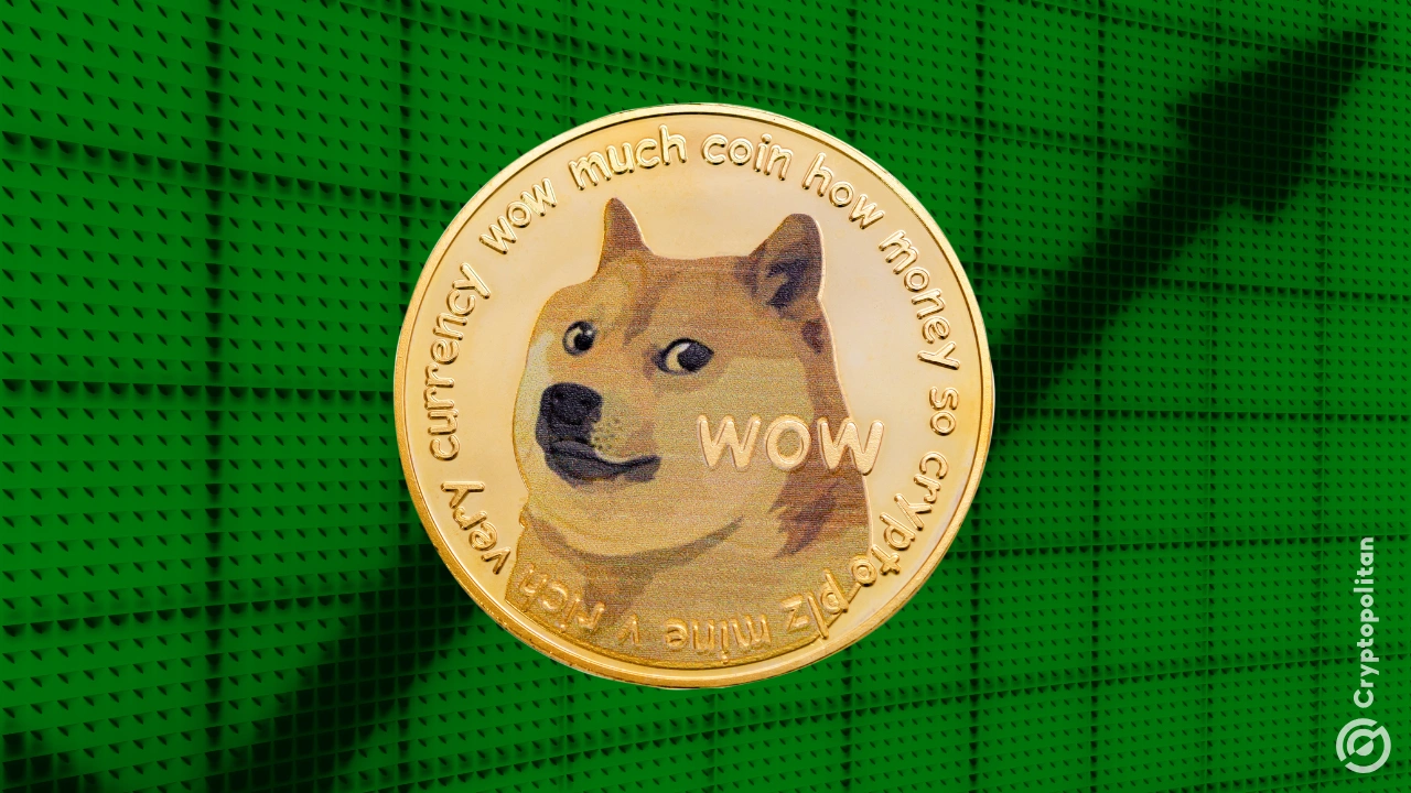 Dogecoin activity rises 28% on SpaceX IPO hype