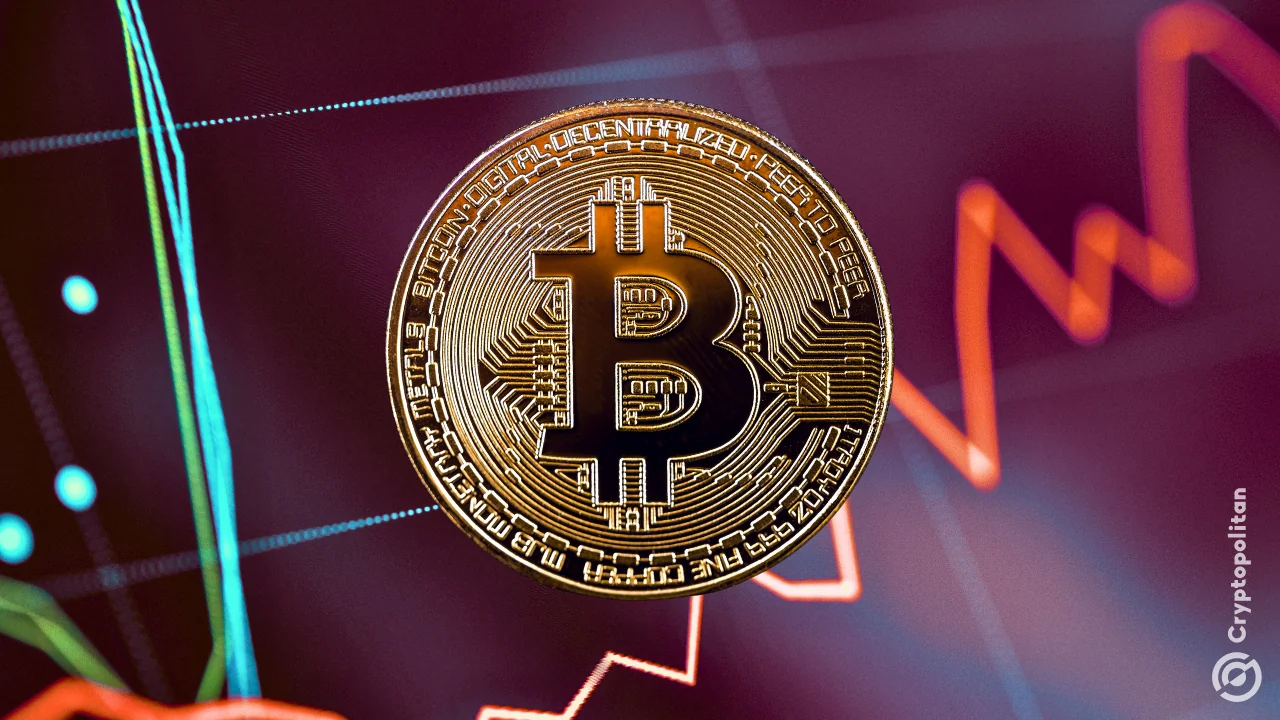 Crypto’s pause button gets hit as Bitcoin settles near $76,500 with volatility at a 9-month low