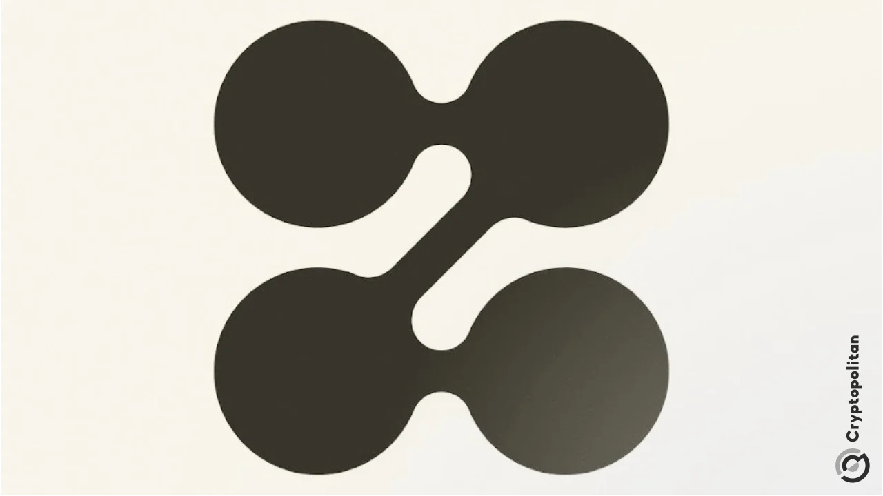 Zerohash ottiene la licenza EMI olandese, diventando la prima società regolamentata da MiCA con doppia autorizzazione