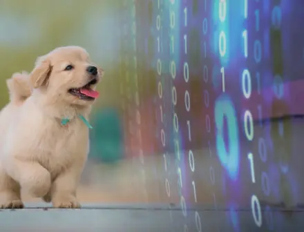 This AI pet collar claims it can translate your cat, dog, and others with 95% accuracy.