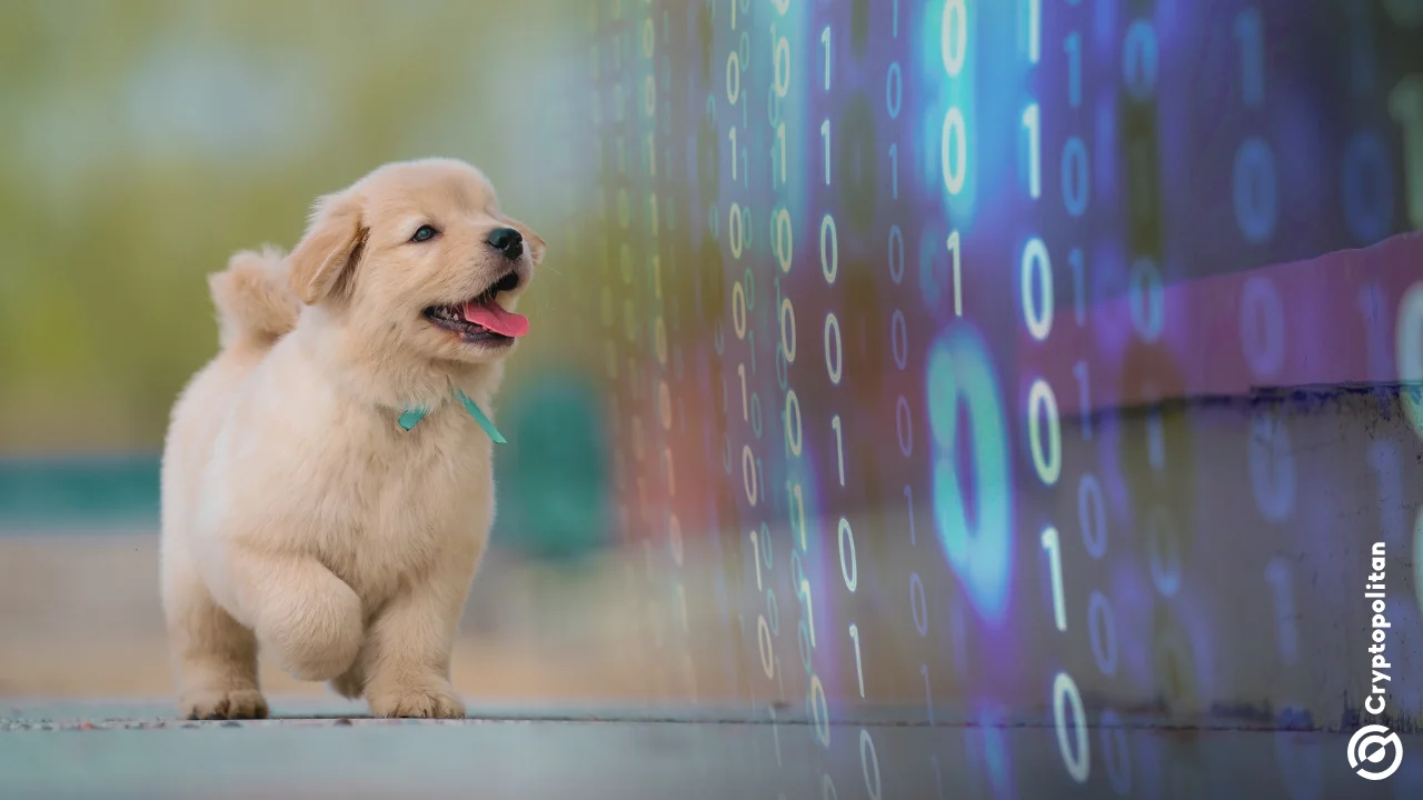 This AI pet collar claims it can translate your cat, dog, and others with 95% accuracy.