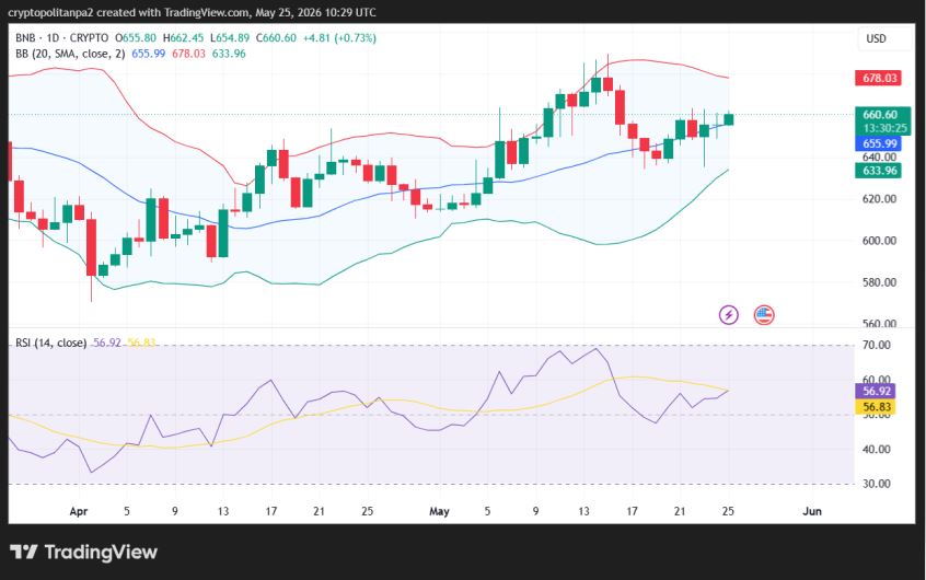 BNB/USD price chart.