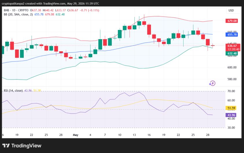 BNB/USD 1-day price chart.
