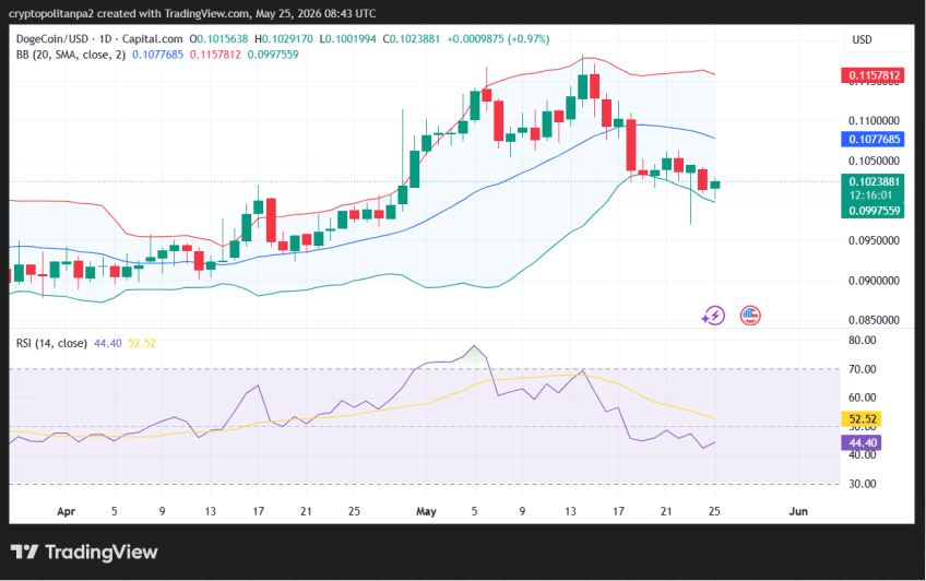DOGE/USD 1-day price chart.