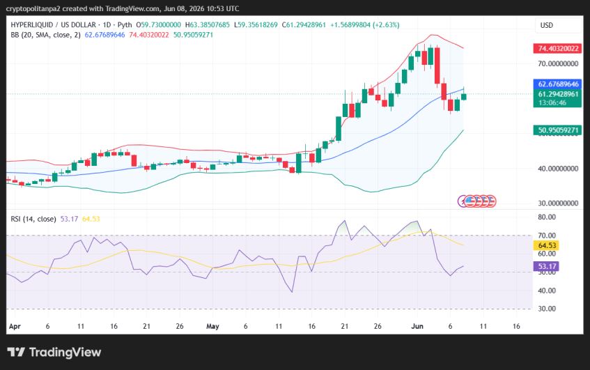 مخطط سعر Hype/USD ليوم واحد.