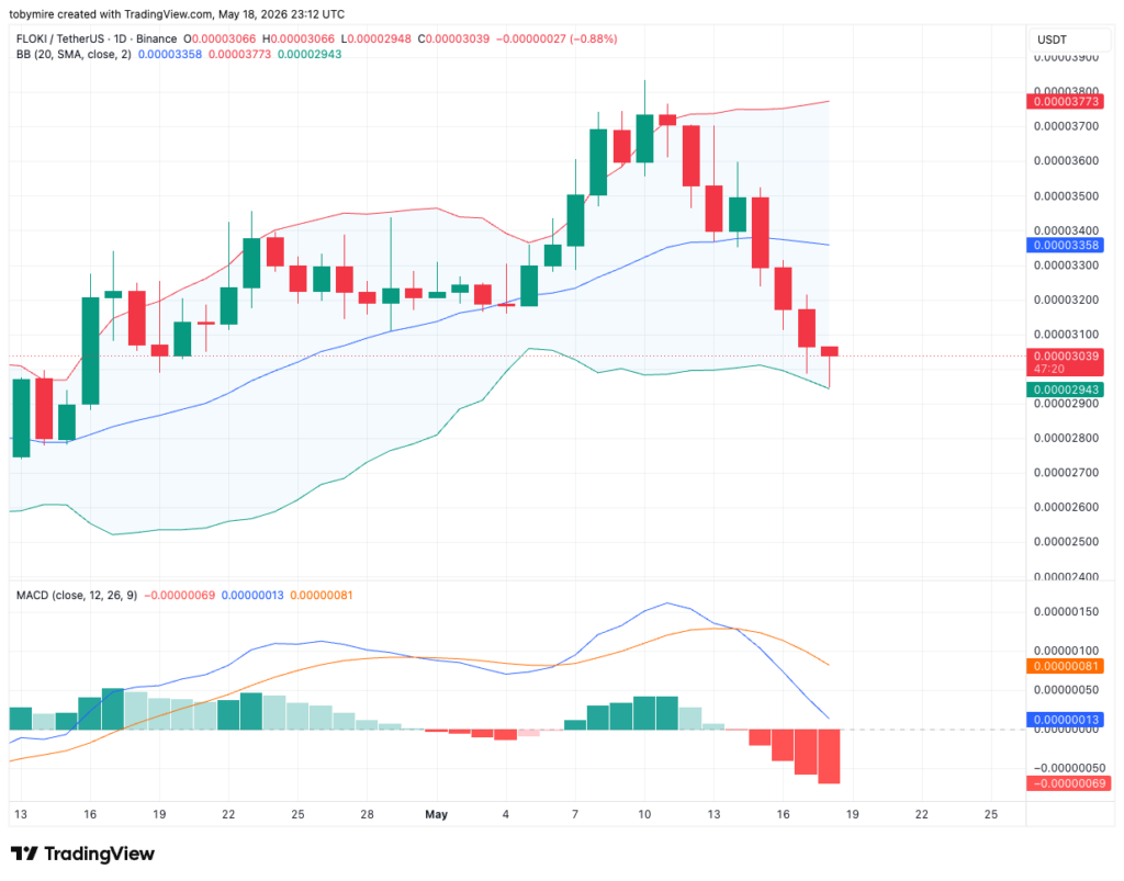 FLOKIUSDT 1-day price chart by TradingView