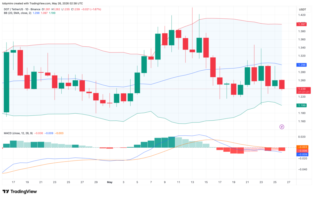 DOT/USDT 1일 가격 차트