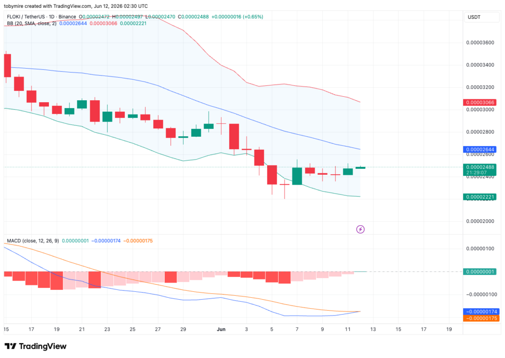 FLOKIUSDT 1-Tages-Kursdiagramm von TradingView