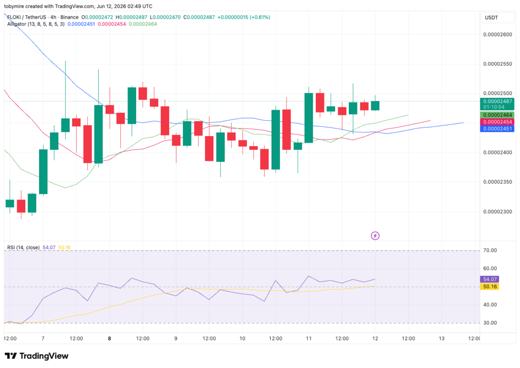 FLOKIUSDT 4-Stunden-Kursdiagramm von TradingView