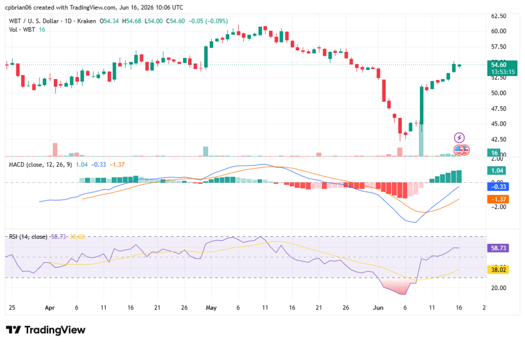 WBTUSD chart byTradingView