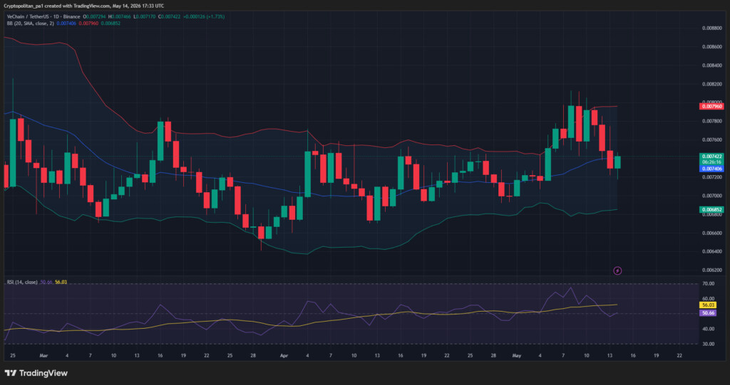 VET/USDT Price Chart: TradingView
