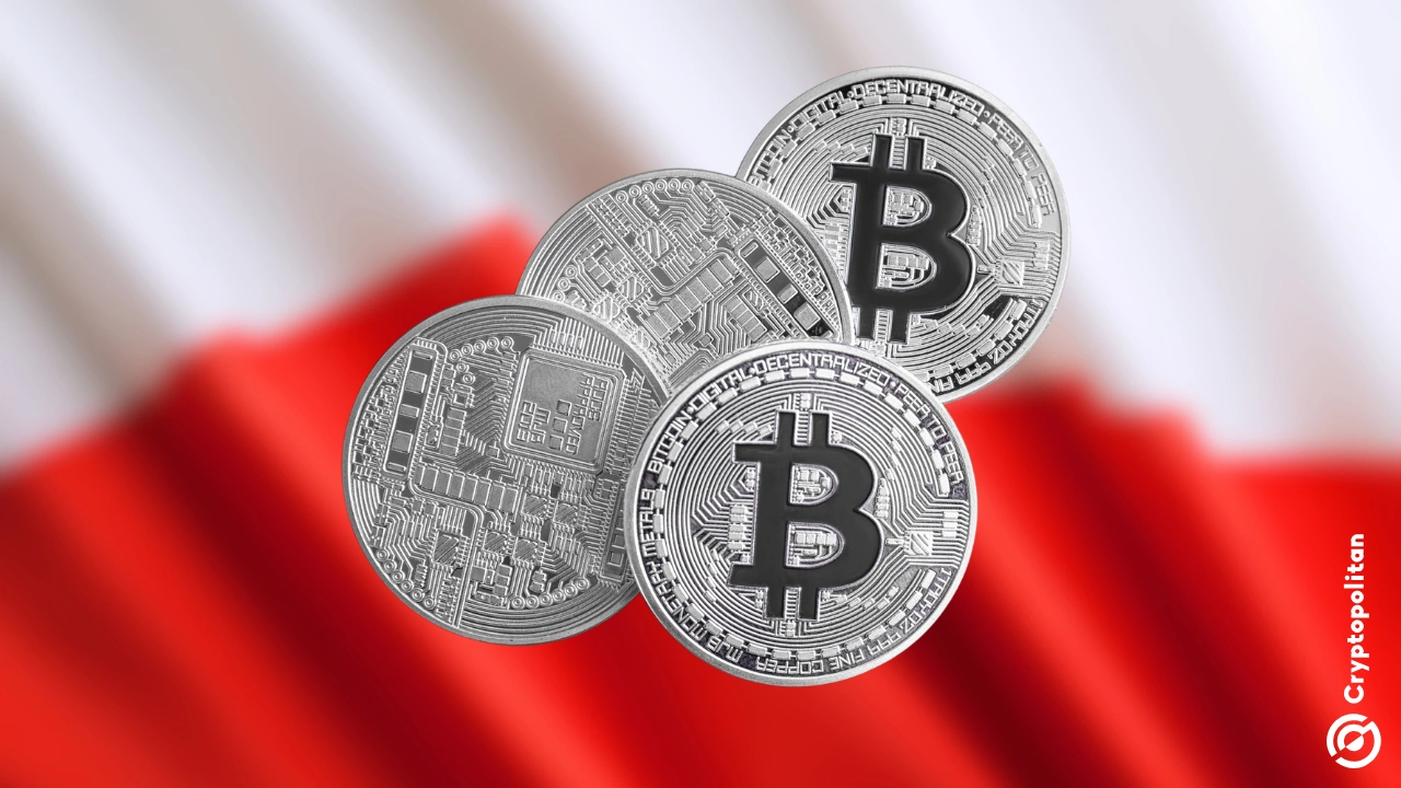 Bitcoin holds peak popularity among Poland’s 2.5 million crypto investors, central bank finds