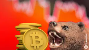 Gli analisti avvertono i trader Bitcoin : preparatevi al massimo dolore