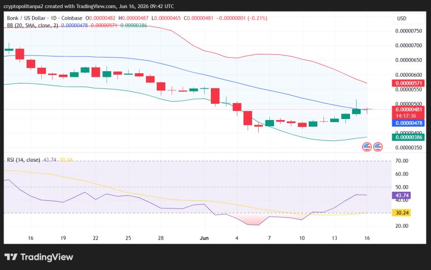 Grafico dei prezzi BONK/USD a 1 giorno.
