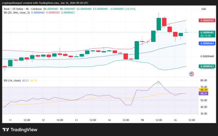 Grafico dei prezzi BONK/USD a 4 ore.