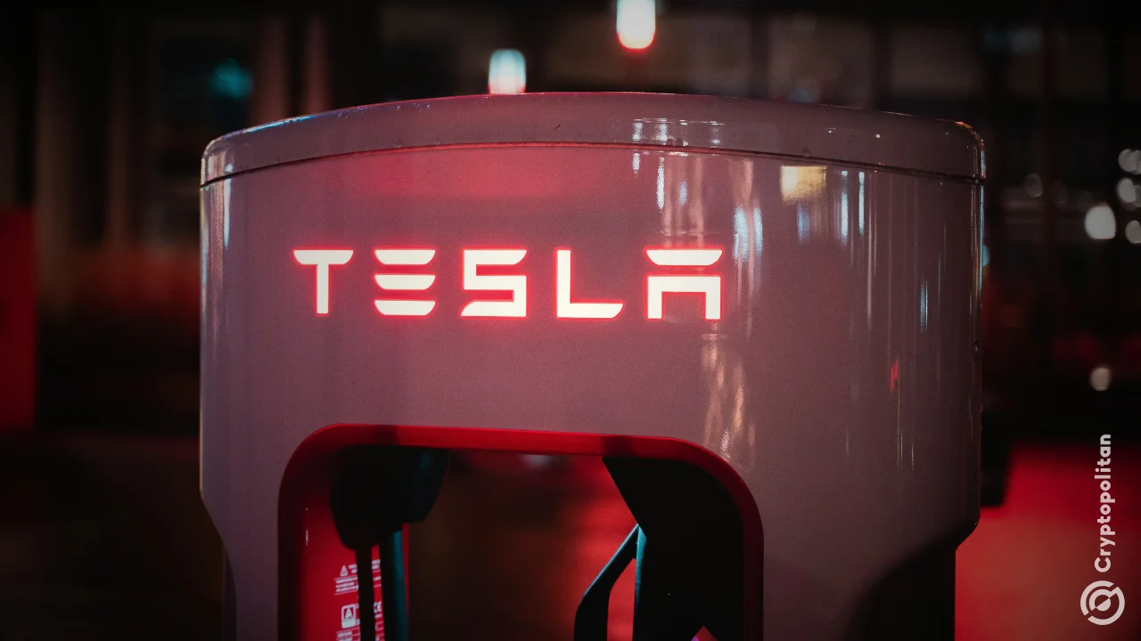 Tesla plans to hire 1,000 workers at Berlin factory as European demand rebounds