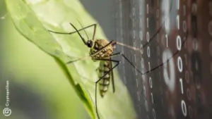 AI laser zapper that shoots mosquitoes mid-flight raises $2.7 million.