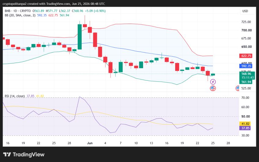 Grafico giornaliero del prezzo BNB/USD.