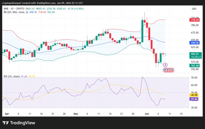BNB/USD 1-day price chart.