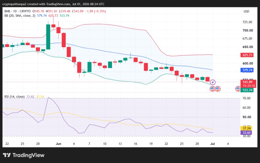 Однодневный ценовой график BNB/USD.