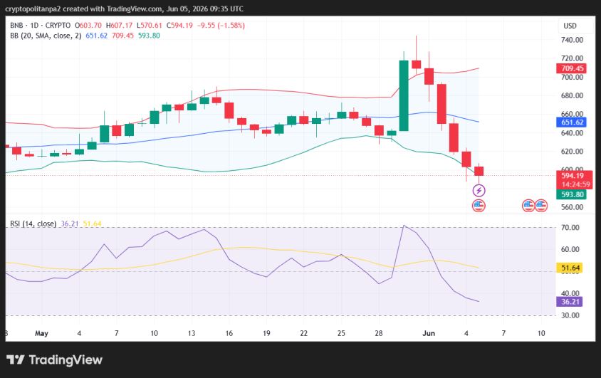 BNB/USD 1-day price chart.