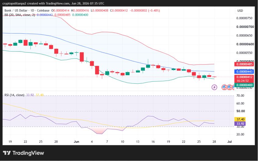 BONK/USD 1-day price chart.