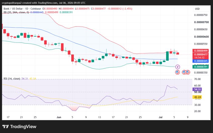 BONK/USD 1-day price chart.