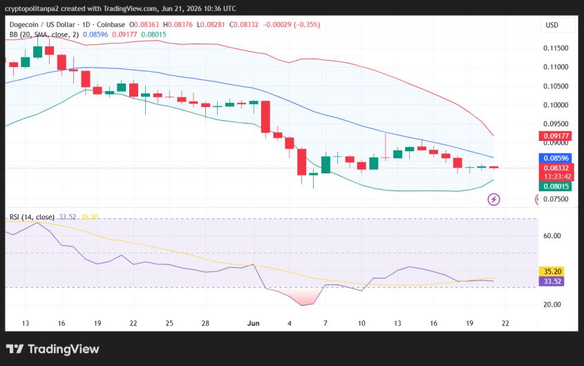 Однодневный график цены DOGE/USD.