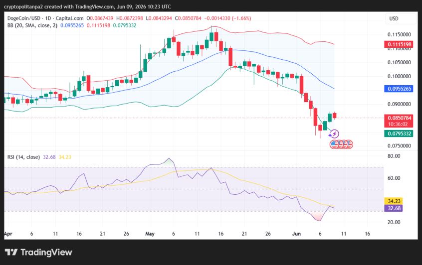 DOGE/USD 1日の価格チャート。.