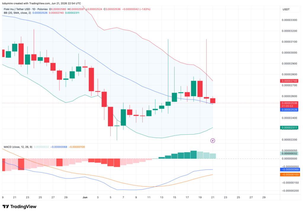 Дневной ценовой график FLOKIUSDT от TradingView