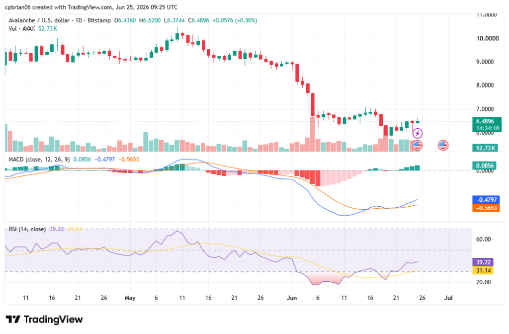 TradingView의 AVAXUSD 차트