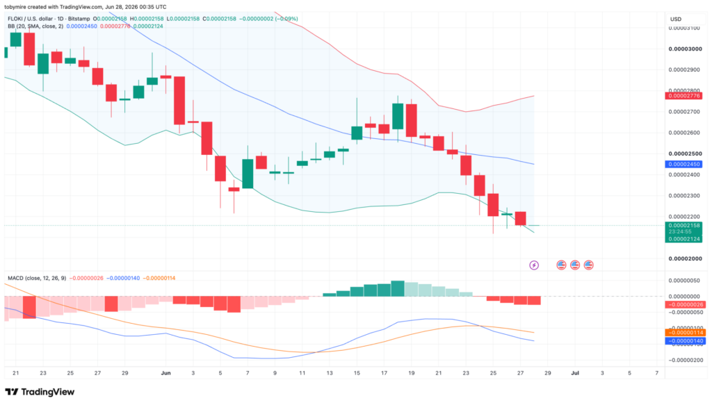 FLOKIUSDT 1-day price chart by TradingView