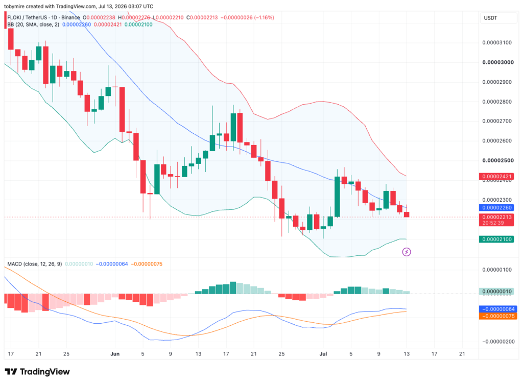 FLOKIUSDT 1-day price chart by TradingView