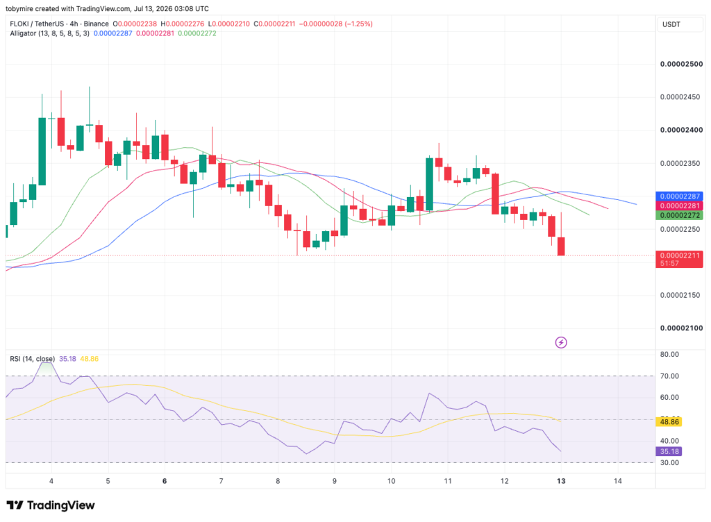 FLOKIUSDT 4-hour price chart by TradingView