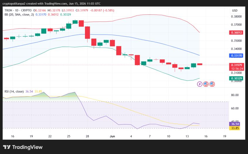 TRX/USD 1日の価格チャート。.