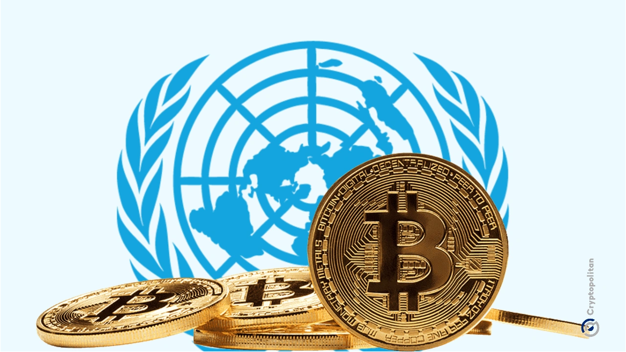 A ONU afirma que redes de golpes na Ásia drenaram até US$ 114 bilhões de suas vítimas em 2025.