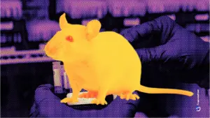 Wissenschaftler entdecken ein natürliches Hormon, das altersbedingte Entzündungen rückgängig machen kann