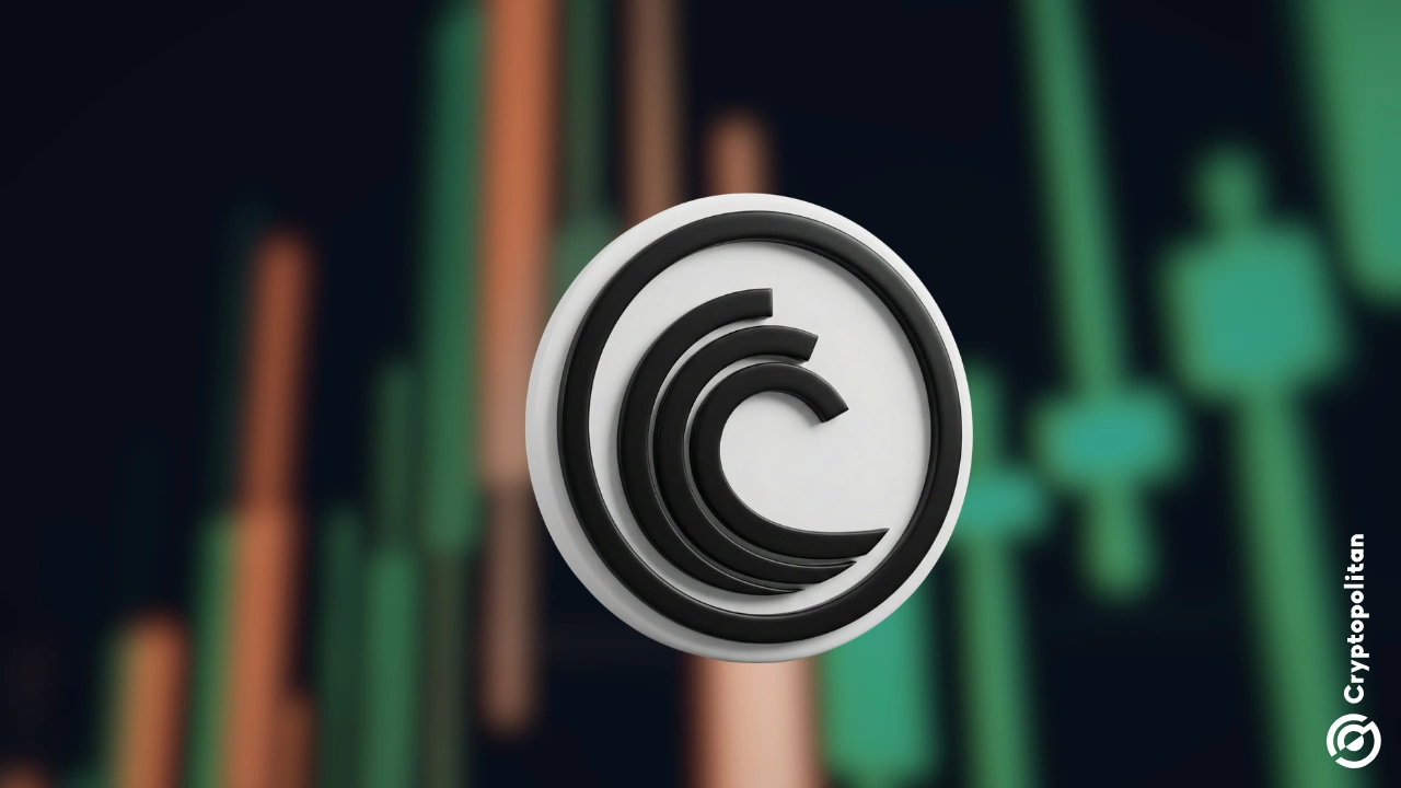 أعلنت منصة BitTorrent عن موعد إطلاق برنامج إعادة شراء وحرق رموز BTT