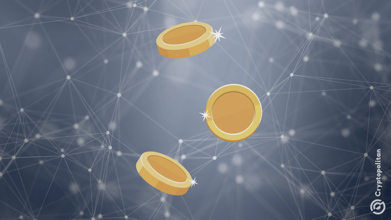 DisclaimerCoin (DONT) change de propriétaire : DeFi Dev Corp en cède le contrôle