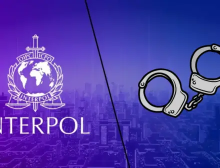 INTERPOL seizes $293 million, arrests 5,811 in global scam crackdown