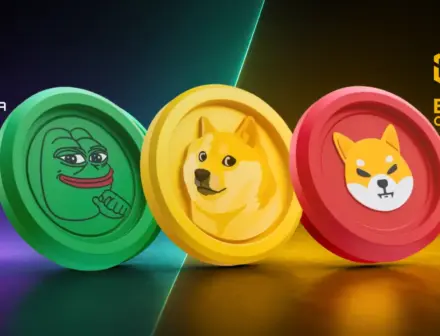 Meme coin trading lifts Solana addresses 38%, BNB Chain volume 45%