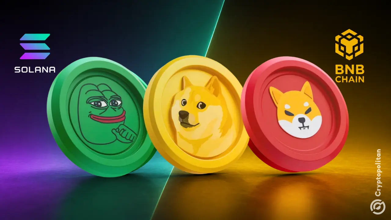Der Handel mit Meme-Coins steigerte Solana -Adressen um 38 % und BNB -Chain-Volumen um 45 %