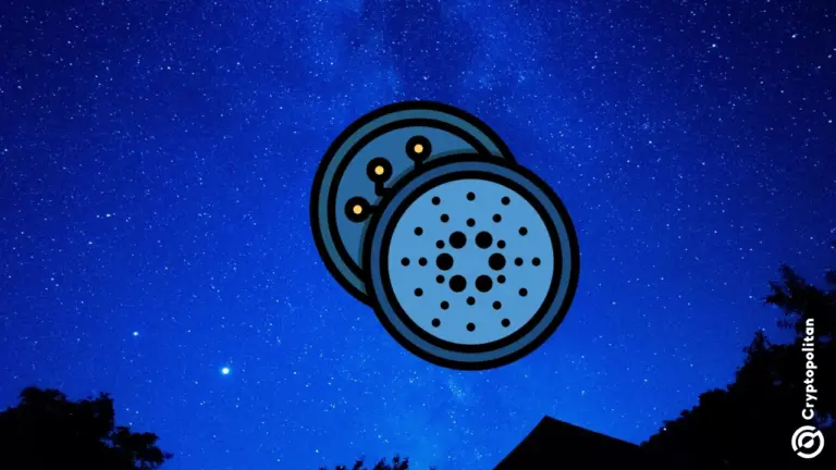 Wanchain Cardano Bridge verliert 13 Millionen US-Dollar, nachdem ein Angreifer die NIGHT-Signatur um das 65.000-fache aufgebläht hat