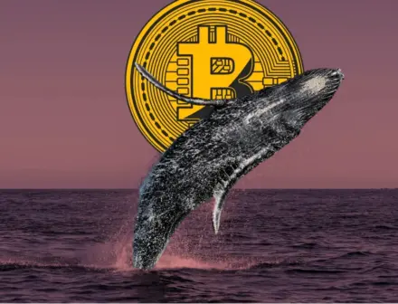 تستمر محافظ حيتان Bitcoin في البيع، مما يزيد الضغط على مسار سعر البيتكوين