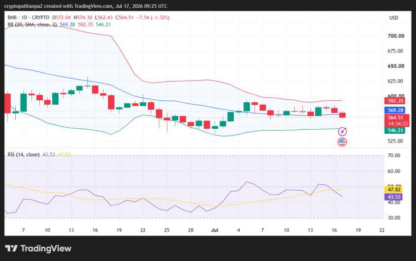 Grafico giornaliero del prezzo BNB/USD.