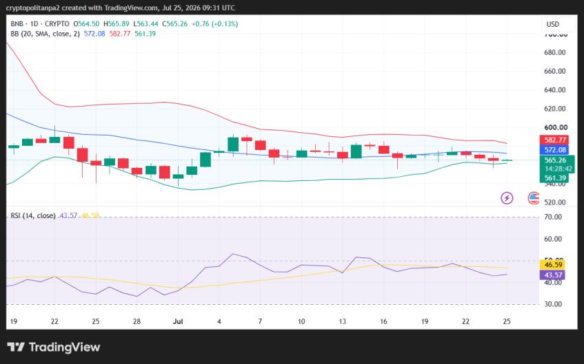 BNB/USD 1-day price chart.