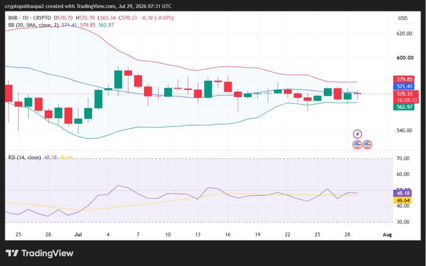 Grafico giornaliero del prezzo BNB/USD.