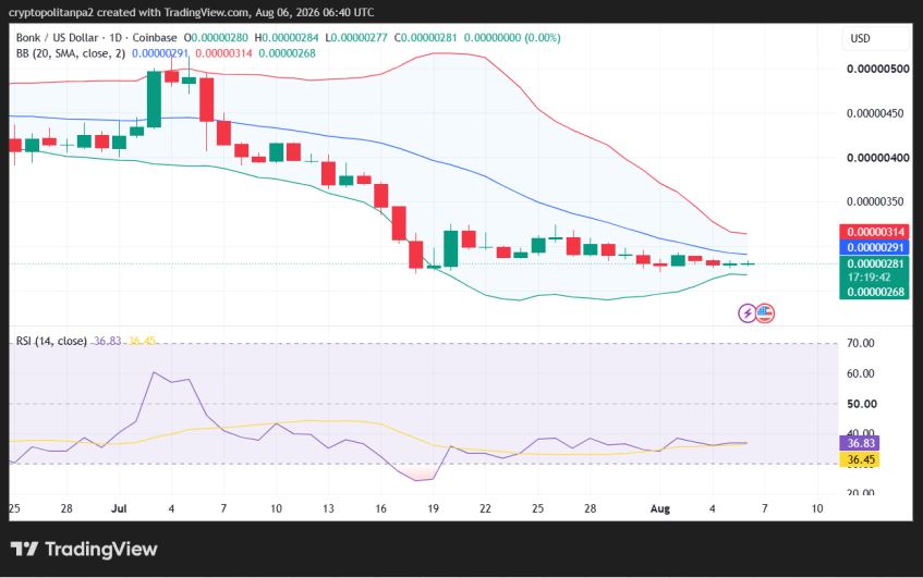 Однодневный ценовой график BONK/USD.