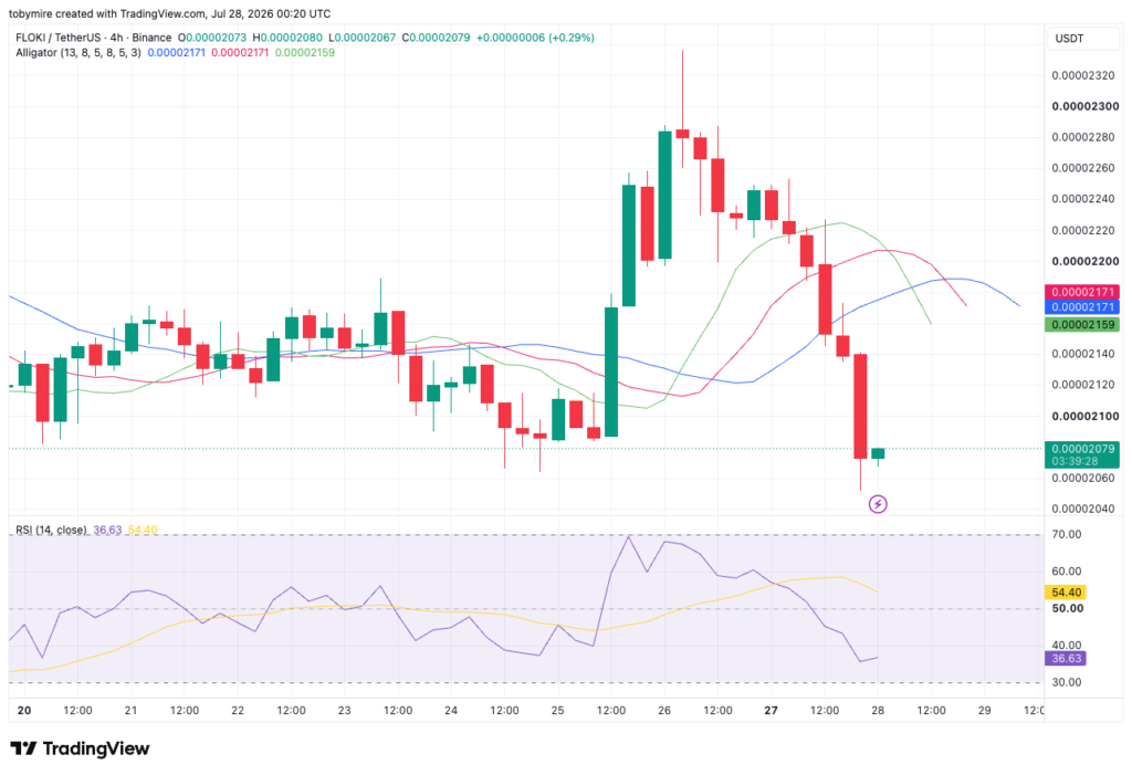 مخطط سعر زوج FLOKIUSDT على مدى 4 ساعات من TradingView